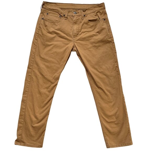 Levi - Picture 2 of 12